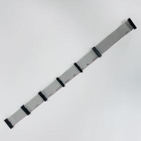 Custom Flat Cable Assembly